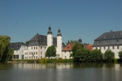 7. RALLYE (2019)