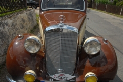 7. RALLYE (2019)